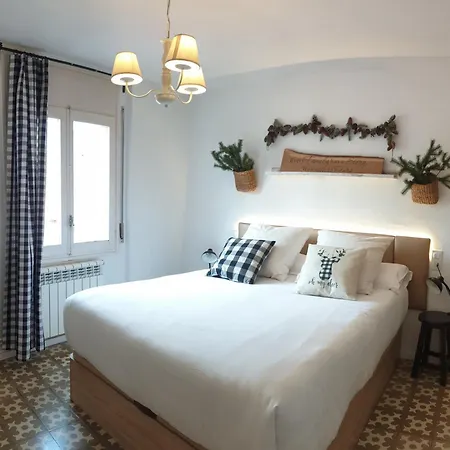 Διαμέρισμα Casa Lola - Terraza Panoramica En El Centro Del Pueblo Sant Joan de les Abadesses